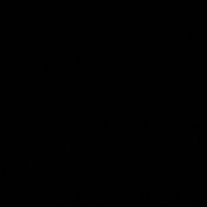 Meet your Posher, Georgia